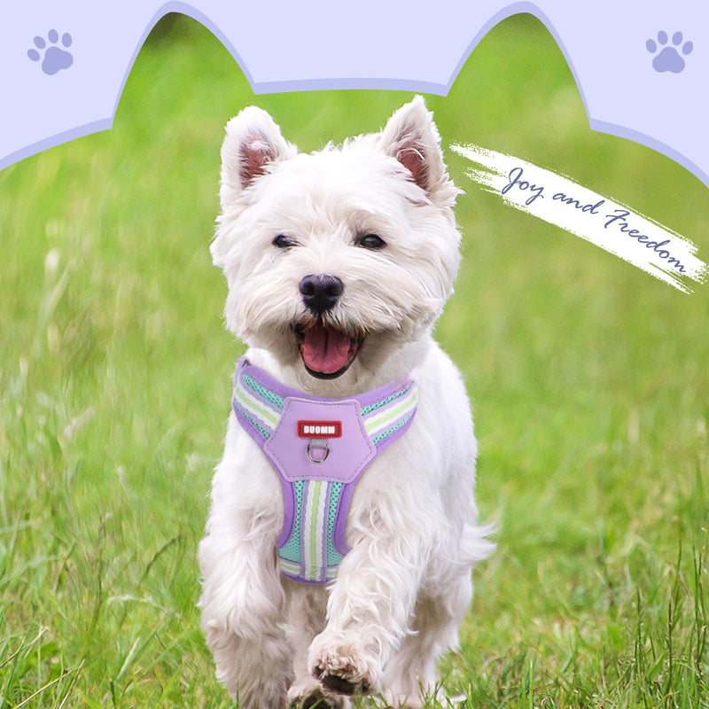 No Pull Dog Harness and Leash Set,Adjustable Dog Vest Harness for Small Medium Large Size Dogs,Breathable and Soft Escape-Proof Puppy Harness with 2 Buckles Purple XS Extra Small - PawsPlanet Australia