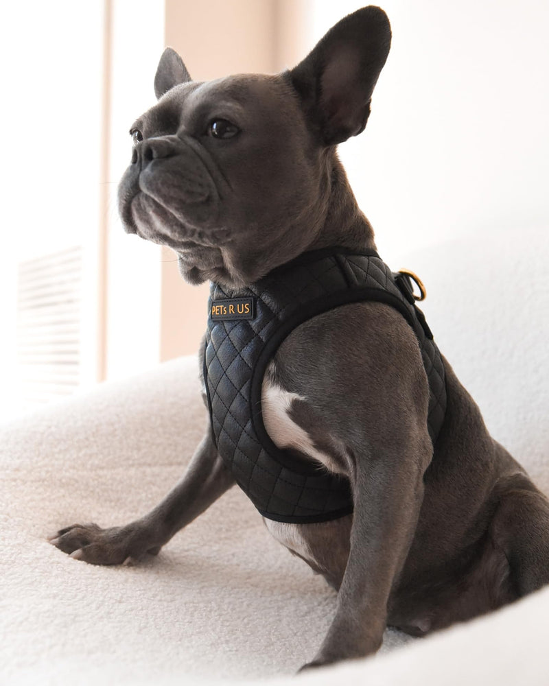 Step in Dog Cat Harness Choke Free Escape Proof Pet Vest Quilted Vegan Leather Breathable Mesh Padded for Small Medium Dogs (Black, Large) Black Large: Neck=12.5-14''/Chest:18-21'' - PawsPlanet Australia
