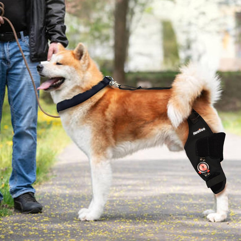 Adjustable Dog Knee Brace with Extra Collar, Support for Torn Acl Hind Leg, Tear Ligament, Osteoarthritis,Rear Leg Limp, Recovery After Surgery,et（Left Leg,XL） Left Leg Extra Large - PawsPlanet Australia