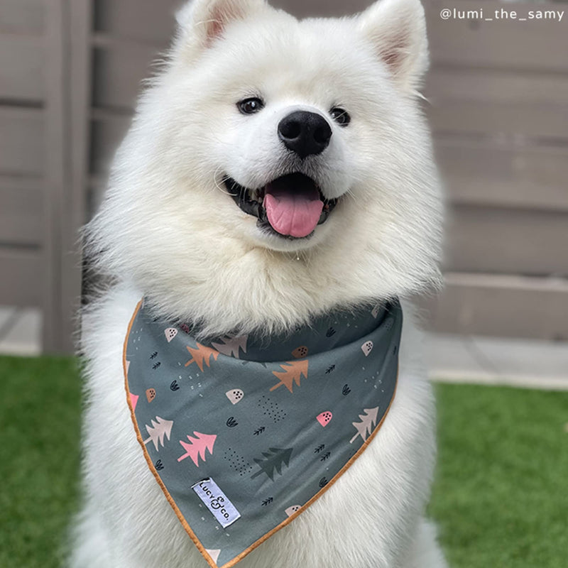 Lucy & Co. Take a Hike - Durable Comfortable Dog Bandana - Designer Puppy Accessory - Machine Washable - Small Blue Trees Bandana Take a Hike Bandana - PawsPlanet Australia