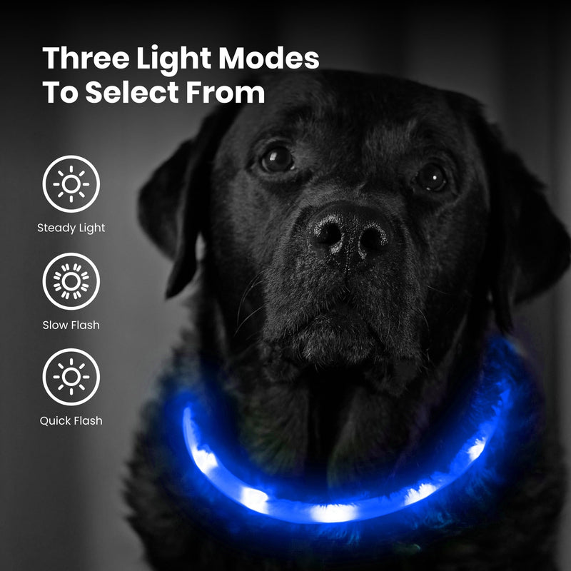 PetSol Light Up Dog Collar Blue - Extra Bright LED Collar - USB Rechargeable - Cut to Fit (20cm to 70cm) with Static or Flashing Mode - Weatherproof, Easy Clean, High Visibility & Full Guarantee - PawsPlanet Australia