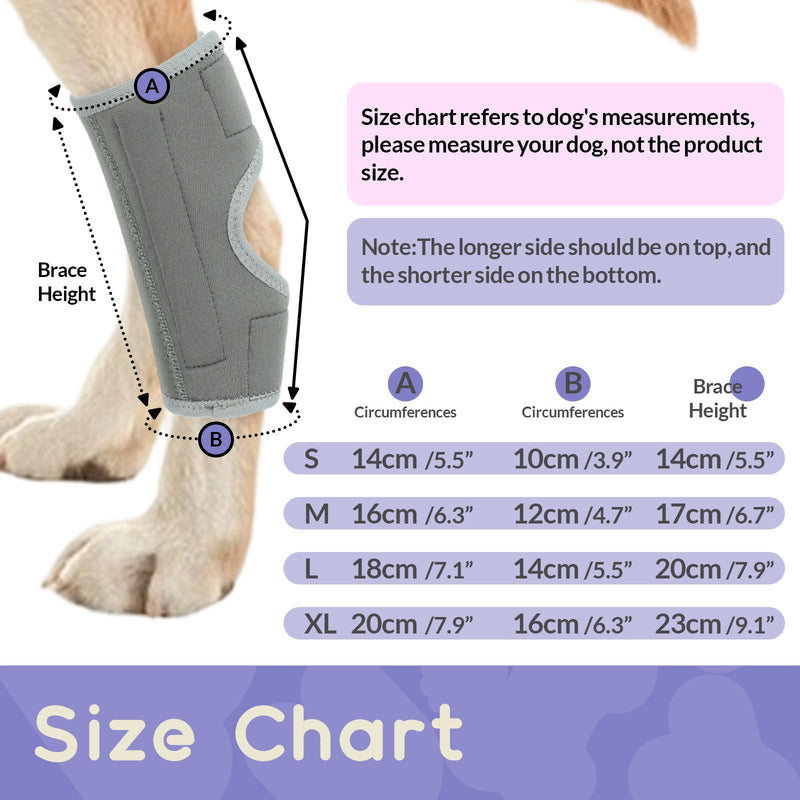 PUMYPOREITY 2Pcs Dog Rear Leg Hock, Joint Brace Hind Leg Wrap Protector and Extra Supportive, LegHock Joint Compression Sleeve for Wound Injury and Sprain Healing of Arthritis(Grey, M) 2Pcs-Grey