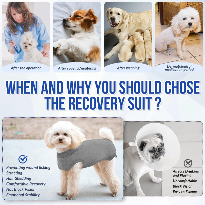 SlowTon Dog Recovery Suit - Surgery Recovery Suit for Female Male Dogs, Dog Onesie After Spay Abdominal Wounds, E-Collar Cone Alternative Prevent Licking Pet Surgical Snugly Suit(Grey,XXL) XX-Large Grey - PawsPlanet Australia
