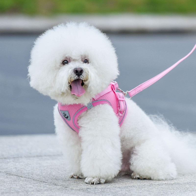 Dog Harness and Leash Set for Walking, Escape Proof Vest Harness with Soft Mesh, Adjustable Velcro, Reflective Strips for Kitten Cats and Puppy Dogs S(Chest:11.8"-13.4") Pink - PawsPlanet Australia