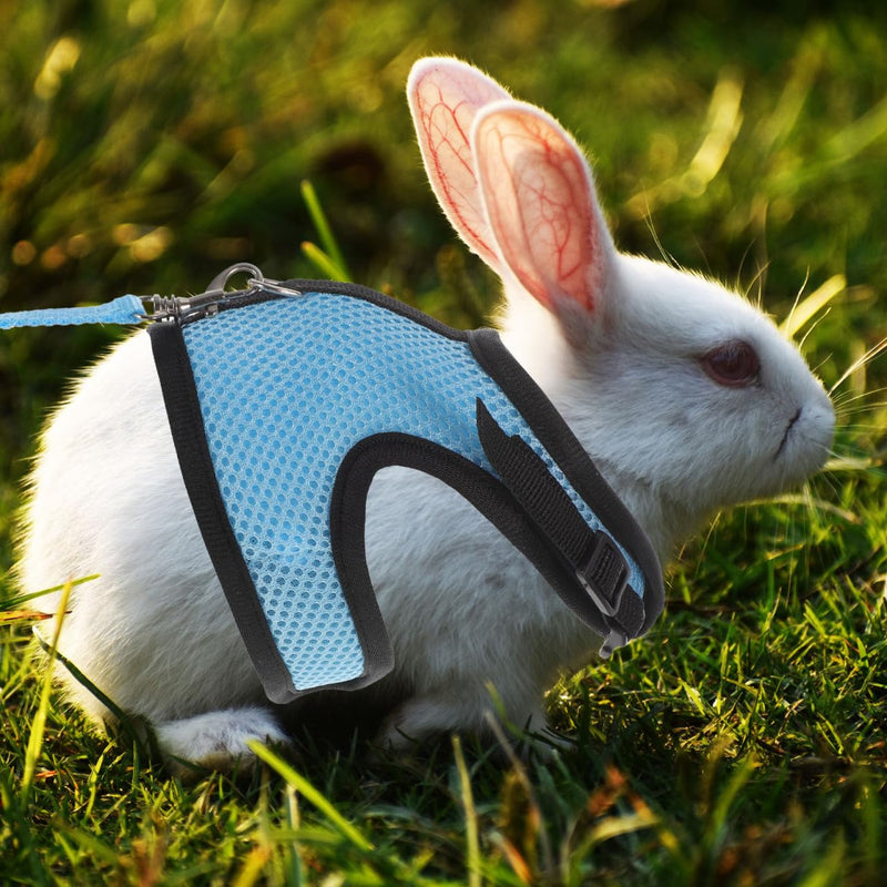 2 Sets Guinea Pig Clothes Pet Guinea Pig Harness Soft Mesh Rabbit Rat and Leash Harness Leash Vest Rat Clothes Hamster Vest Ropes Little Pet Accessories Net 25x10.5x1cmx2pcs Bluex2pcs - PawsPlanet Australia