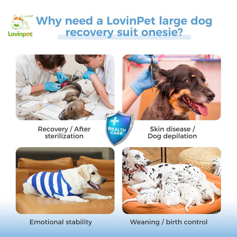 LovinPet Dog Recovery Suit for Large Medium Dogs - Bodysuit Onesie for Shedding Skin Disease Cut-Out Design of Abdomen Pet Pajamas Dog Anti Licking Snugly Suit for Abdominal Wound After Surgery,3XL 3XL Blue collar/White - PawsPlanet Australia