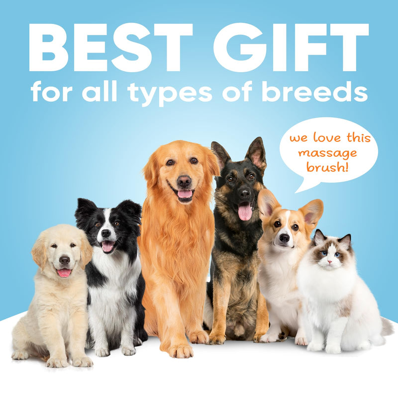 Extra Wide Undercoat Rake for Dogs and Cats, Pet Grooming Brush with Nail Clipper to Remove Loose Fur, Professional Dematting & Deshedding Comb for Tangled Hair (Large) Large - PawsPlanet Australia