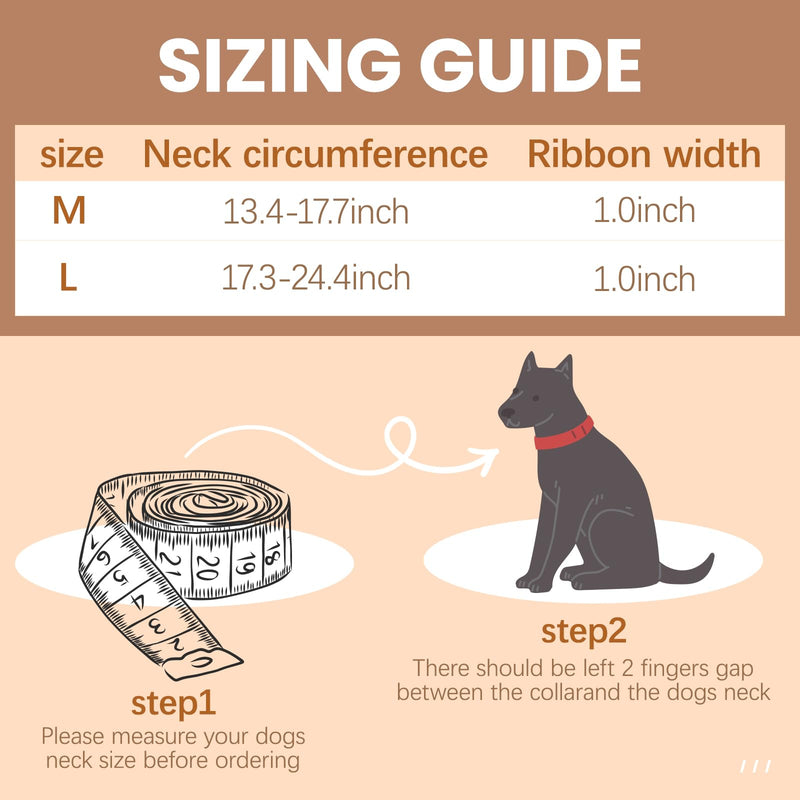 ANDA Martingale Dog Collar with Quick Release Buckle – Adjustable Training No Slip Dog Collar, Daily Use Walking and Training (Large) Large - PawsPlanet Australia
