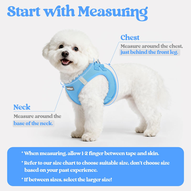 rabbitgoo Dog Harness Small Sized and Leash Set, Step in Soft Light Puppy Vest, Breathable Mesh Pet Harness, Reflective for Safe Easy Walking, Blue S S (Chest: 15.1 - 16.5") - PawsPlanet Australia