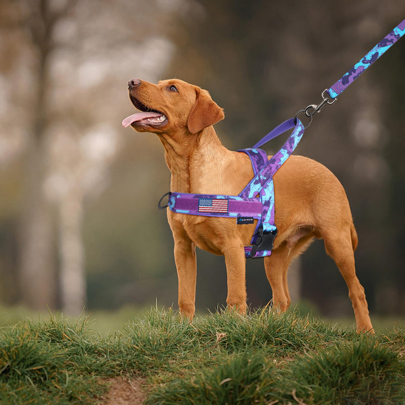 Annchwool No Pull Dog Harness with Padded Handle+5 Ft Leash,Escape Proof and Quick Fit to Adjust Dog Harness,Easy for Training Walking for Small & Medium and Large Dogs(Camo Purple Set,XL) XL Camo Purple Set - PawsPlanet Australia