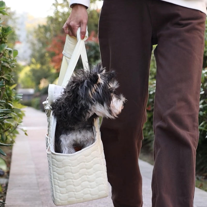 Small Dog Purse Rabbits Carrier Bag,Adult Cat/Puppy Carriers Bunny Bag with Multiple Pockets,Breathable Mesh Soft Cushion,Traveling Pets Tote Picnic Outdoor 15lb (Grey2, Large) 16.0"L x 7.0"W x 12.0"H Grey - PawsPlanet Australia