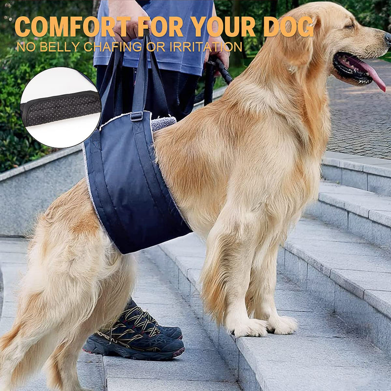 Dog Lift Support and Rehab Harness for Weak Rear Legs, for Canine Aid and Old Cruciate Ligament Rehabilitation, Soft Dog Rear Harness Assist The Dog Who are Senior, Injured, Disabled - PawsPlanet Australia
