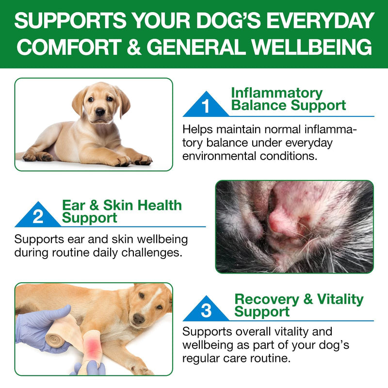 Antibiotics for Dogs, Dog Antibiotics, Natural Antibiotics for Dogs Immune Drops Help Supports Allergies, Itching, Coughs, Skin, Bacon Flavor (1 Pack) 1 Pack