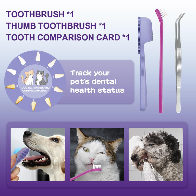 Dog Teeth Cleaning Kit-Dog Tooth Plaque Remover-Ultimate Pet Dental Care Kit - Ultrasonic Teeth Cleaner and Plaque Remover for Dogs | Complete Oral Hygiene Solution-Black Black - PawsPlanet Australia