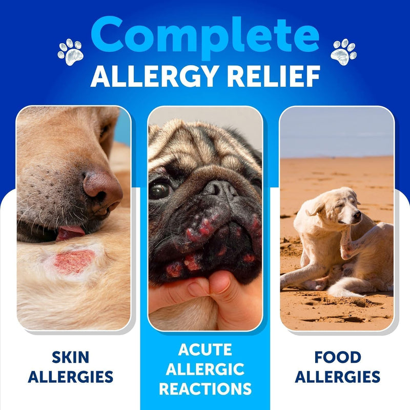 Dog Allergy Relief Chews - Itch Relief for Dogs - Fish Oil - Omega 3 - Itchy Skin Relief - Seasonal Allergies - Anti Itch Support & Hot Spots - Immune Health Supplement for Dogs 120 Treats