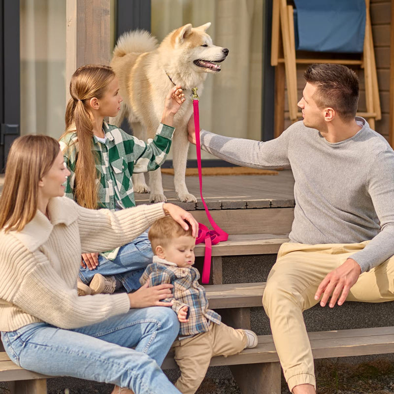 Viper Biothane K9 Working Dog Leash Waterproof Lead for Tracking Training Schutzhund Odor-Proof Long Line with Solid Brass Snap for Puppy Medium and Large Dogs 6ft, Passionfruit Pink W 1/2" - L 6' - PawsPlanet Australia