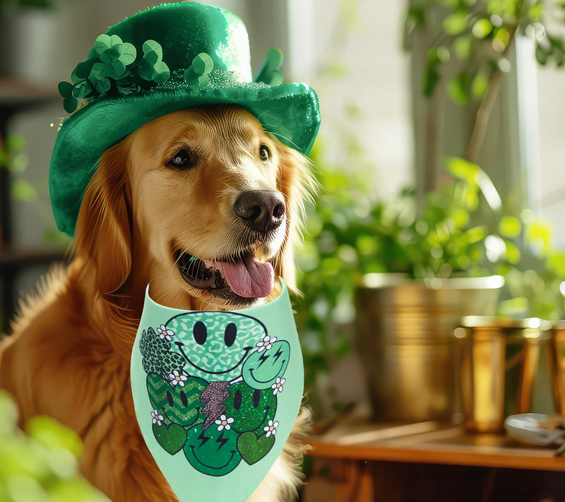 St Patrick's Day Dog Bandanas, St Patrick's Day Dog Outfits Décor Gifts, Medium Large Dog Scarf, Pack of 2. - PawsPlanet Australia