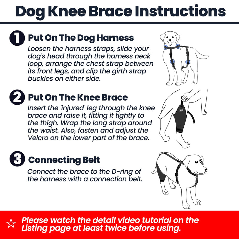 Dog Knee Brace with Harness and Connection Belt, Lightweight and Stretchable, Support for Torn ACL Hind Leg, Luxating Patella, Reduces Arthritis Pain and Inflammation (XX-Small) XX-Small
