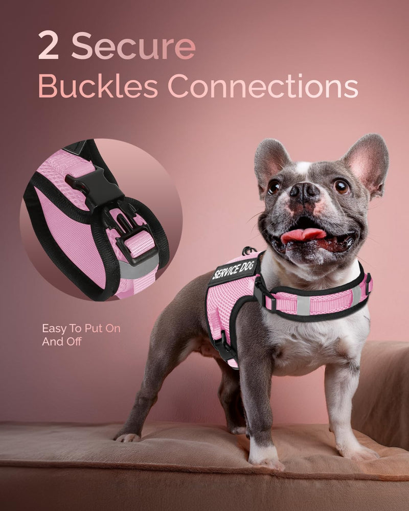 FAYOGOO Service Dog Vest for Small Dogs - Air Mesh Breathble Emotional Support Animal Vest with Velcro Patches - Puppy Harness and Leash Set Adjustable Neck and Chest Pink M - PawsPlanet Australia