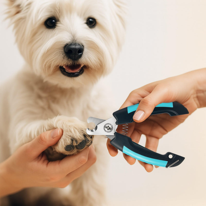 Professional Dog Nail Clippers with Safety Guard – Sharpe Stainless Steel Blades & Ergonomic Handle for Easy Nail Trimming of Medium to Large Dogs & Cats - PawsPlanet Australia
