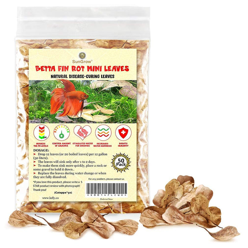 SunGrow Mini Catappa Indian Almond Leaves for Betta, Shrimp, Frogs, Improves Habitat, Gives Tea Color, Helps in lowering pH 50 Pcs - PawsPlanet Australia