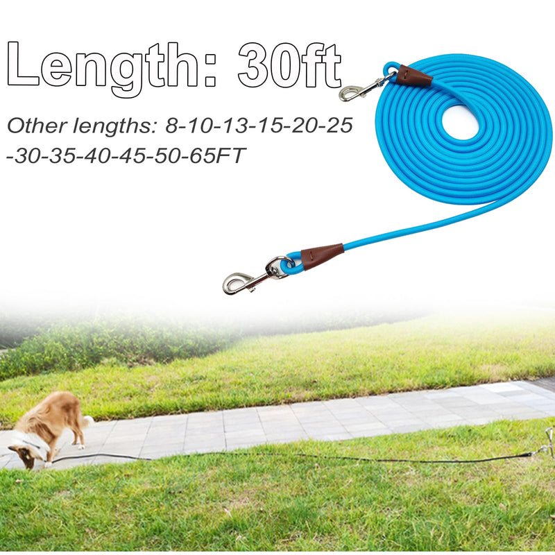 Tie Out Rope Dog Leash, 8-10-13-15-20-25-30-35-40-45-50-65 FT Heavy Duty Nylon Check Cord for Medium Large Dogs Indoor/Outdoor Playing Camping Backyard (Blue, 3/8" x 30ft) blue - PawsPlanet Australia