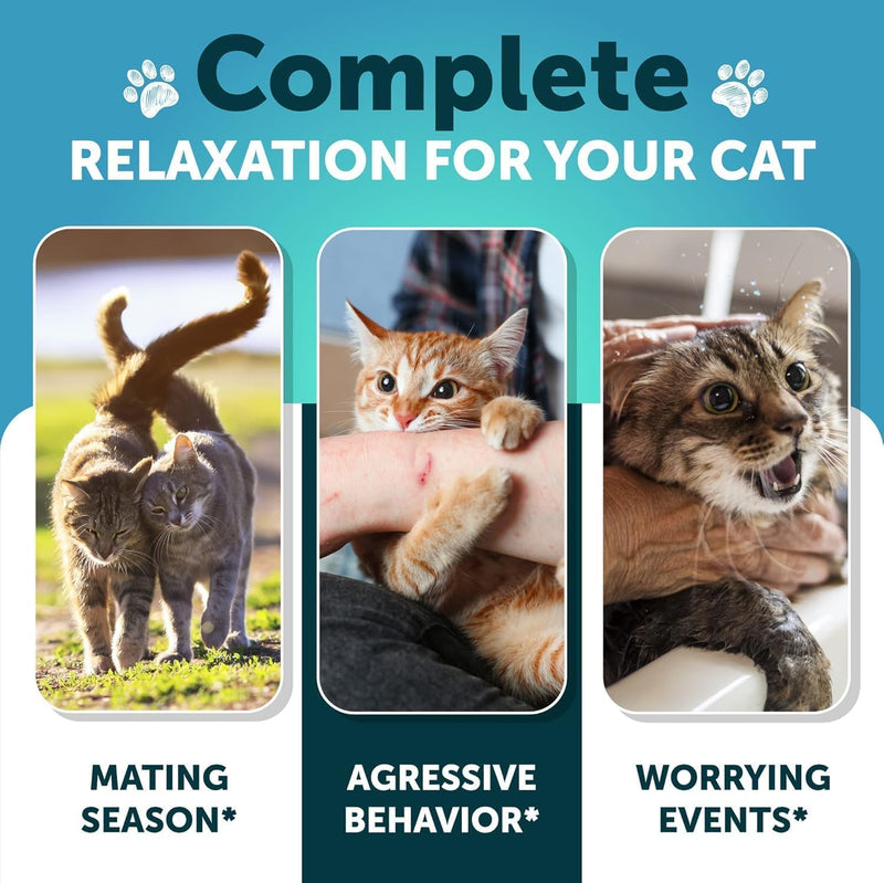 Hemp Cat Calming Treats - Cat Anxiety Relief - Storm Anxiety, Сomposure, Grooming, Separation, Travel - Calming Aid for Cats with Hemp Oil, L-Theanine - Cat Melatonin - Made in USA - 135 Soft Chews Chicken