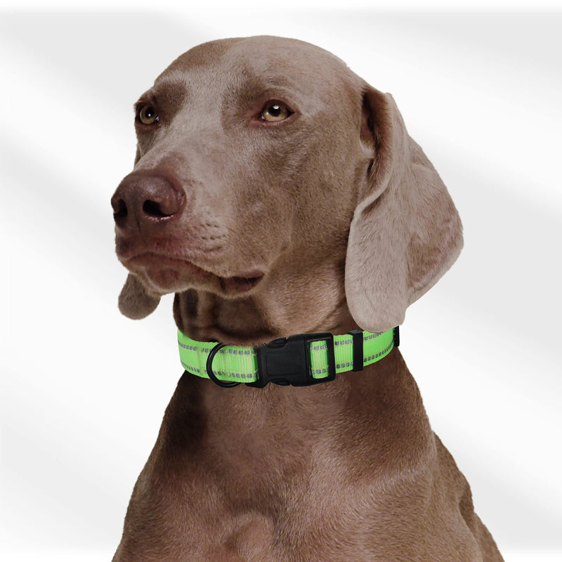 Mile High Life | Night Reflective Bands Nylon Thick Fabric Dog Collar | Fluorescence self-Luminescence | Variety Colors and Pattern Selections Medium (Pack of 1) Self-Luminescence Lime - PawsPlanet Australia