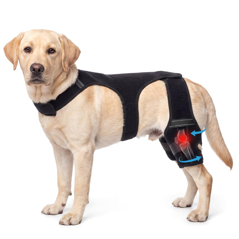 Aliceset Dog Hind Leg Knee Pads, Torn Acl Hind Leg Breathable and Adjustable Support Sleeves, Fit Snugly and Securely, Providing Secure Comfortable Support, Suitable for Everyday Wear(L) L