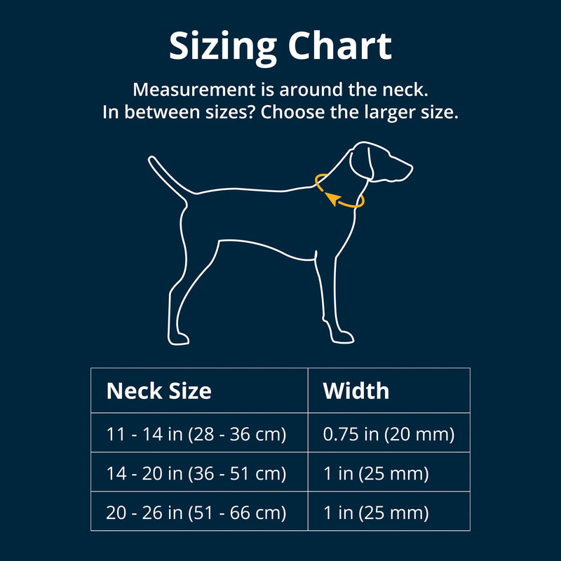 RUFFWEAR Front Range Collar, Large Dog Collar with Aluminium V-Ring, Adjustable Length Pet Dog Collar, Comfortable Soft Fabric, Animal Collar with Dog Lead Attachment Ring, 51-66cm, Basalt Grey L