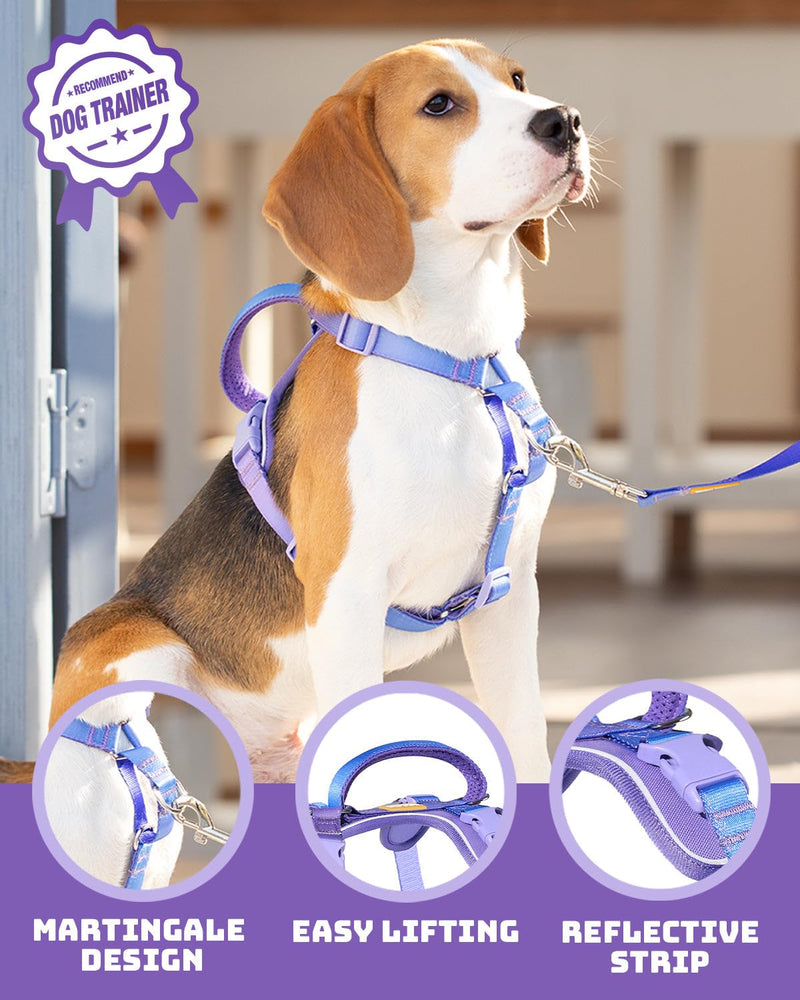 DF Freedom No Pull Martingale Dog Harness, Gentle Control for No Choking, Front Clip Harness with Reflective, Adjustable & Padded Handle for Easy Walking & Training, Rainbow, 3/4", Chest 20"-26.8" 3/4" (Chest 20" - 26.8") Rainbow Pro - PawsPlanet Australia
