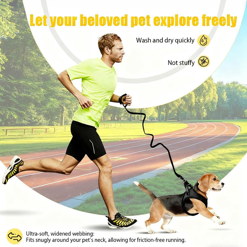 Dog Harness Small Sized and Leash Set, Dog Harness with Leash Set, Comfortable Air Mesh Dog Vest Harness with Reflective Strip, Reflective for Safe Easy Walking Dogs, Cats, Black M M (Chest: 11.02 - 12.59inch) - PawsPlanet Australia