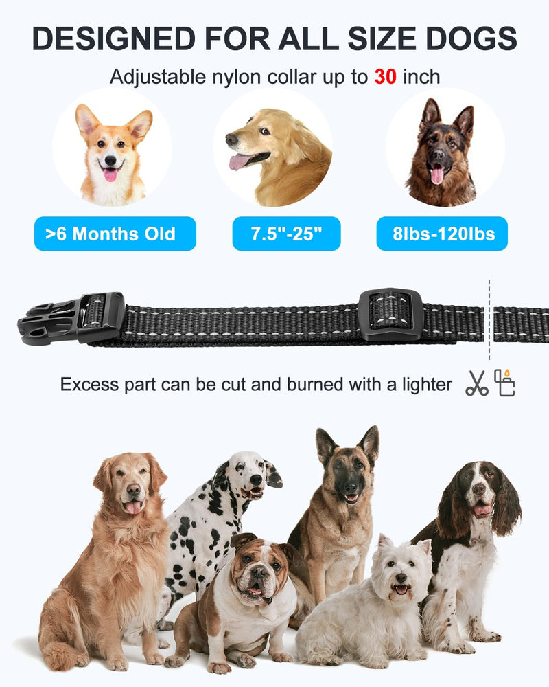 No Shock Dog Training Collar with Remote, Dog Vibration Collar with Controller Beep and Vibrate Only, Safe Lock Waterproof Rechargeable Vibrating Collars for Dogs(10-120 lbs)-No Prongs (Black) Black - PawsPlanet Australia