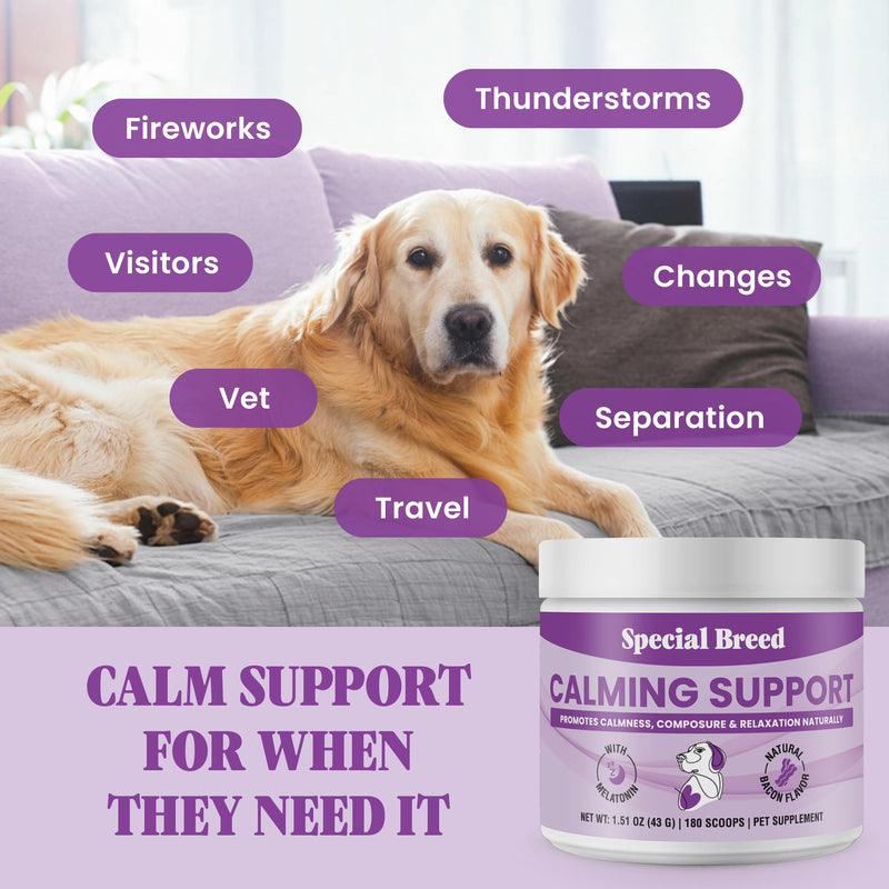 Calming Supplement for Dogs with Melatonin – Dog Calming Powder with Chamomile & Valerian Root – Supports Relaxation & Composure for Travel, Fireworks & Vet Visits - Bacon Flavor - 180 Scoops