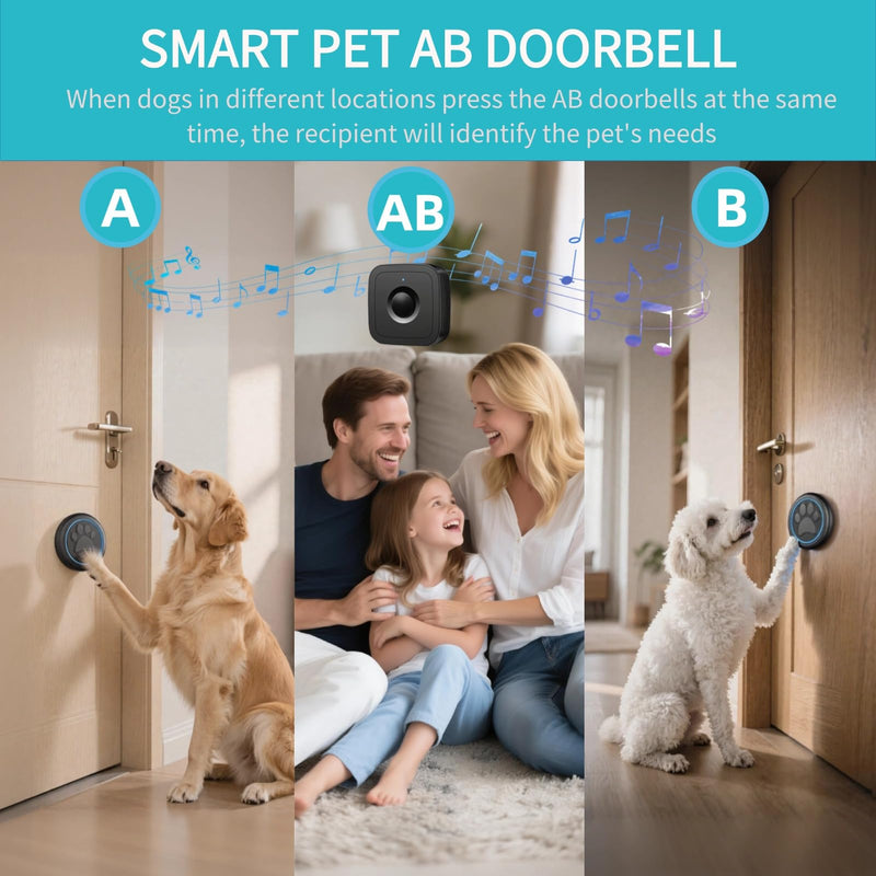 DFQ Wireless Pet Doorbell for Potty Training to Go Outside, Waterproof Pet Bell with 2 Touch Buttons and 1 Receiver, 1000 Feet Range, 60 Melodies & Adjustable Volume, Black 2 Button - PawsPlanet Australia