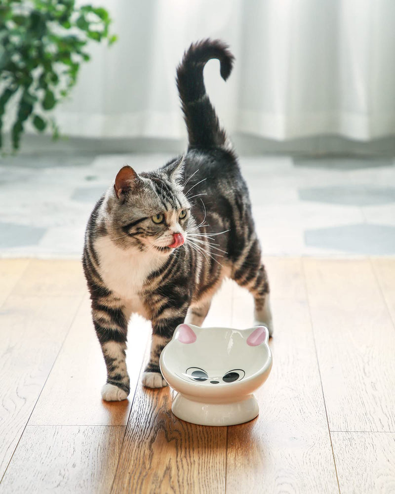 Raised Cat Food Bowl Ceramic 15° Tilted Cat Food Bowls Protect Cat's Spine Anti Vomiting Backflow Prevention Cat Bowls for Adult Cats, Kitten, and Small Dogs, Pink Pink Ears - PawsPlanet Australia
