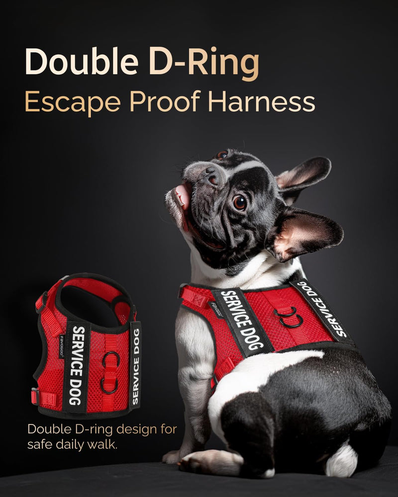 FAYOGOO Service Dog Vest for Small Dogs - Breathable Air Mesh Service Dog Harness with Leash & 6 Patches, Adjustable No-Choke Design for Walking, Travel & Public Access Red S - PawsPlanet Australia