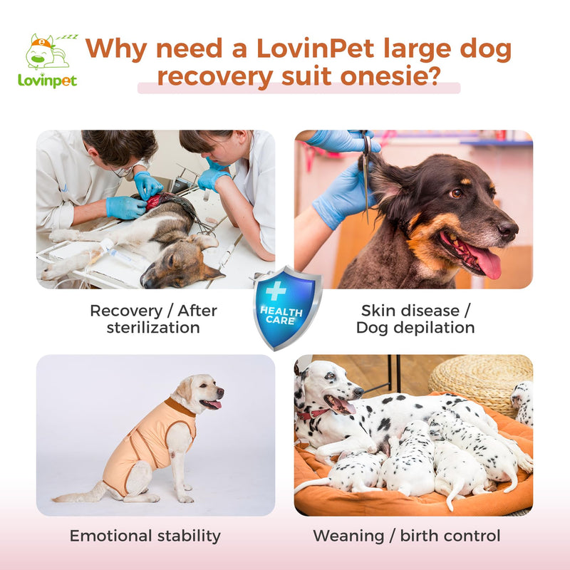 LovinPet Dog Recovery Suit for Large Medium Dogs - Wound Protective Surgical Recovery Snugly Suit for Abdominal Wounds After Surgery Anti-Licking Dog Onesies,Hippo,Orange,XXL XXL Brown collar/Yellow - PawsPlanet Australia