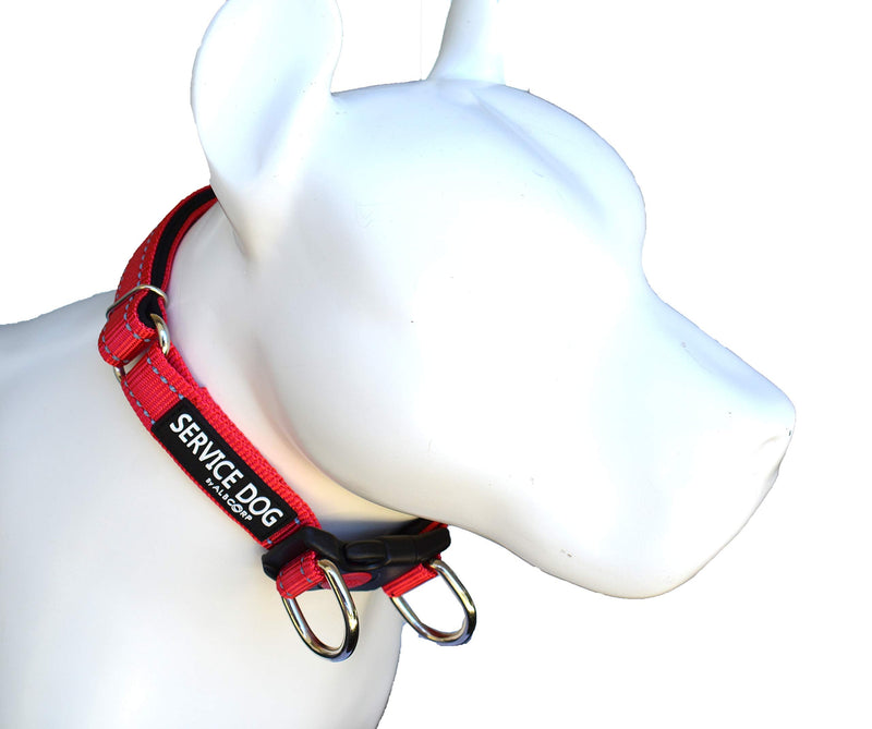 Albcorp Reflective Service Dog Collar – Sizes XS to XL (8.6–28.7 Inches), Service Dog Rubber Patch, Neoprene-Padded Comfort & High-Visibility Gear for Dedicated Handlers, Medium, Red M(13.4" x 17.7") Neck Girth - PawsPlanet Australia