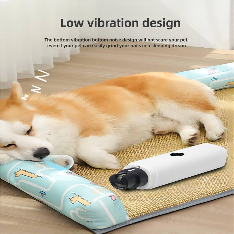Professional LED Lighted Pet Nail Grinder 2-Speed Electric Rechargeable Safe & Efficient - Quiet Painless Paws Grooming for Small Medium,Large Dogs & Cats (White) white - PawsPlanet Australia