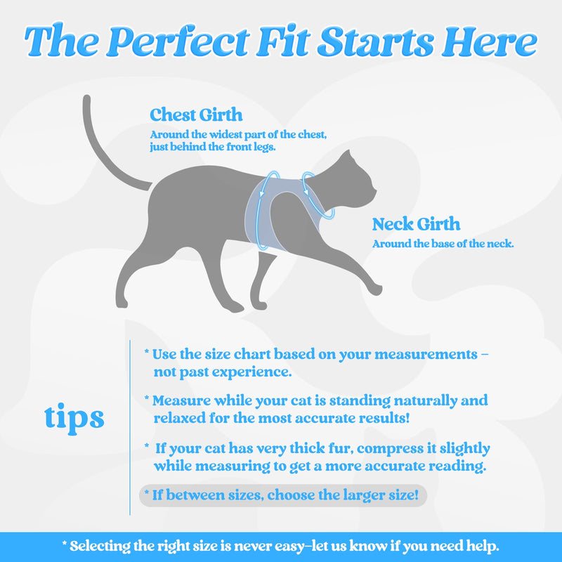 rabbitgoo Cat Harness and Leash Set for Walking Escape Proof, Adjustable Soft Kittens Vest with Reflective Strip for Cats, Comfortable Outdoor Vest, Light Blue, S Small - PawsPlanet Australia