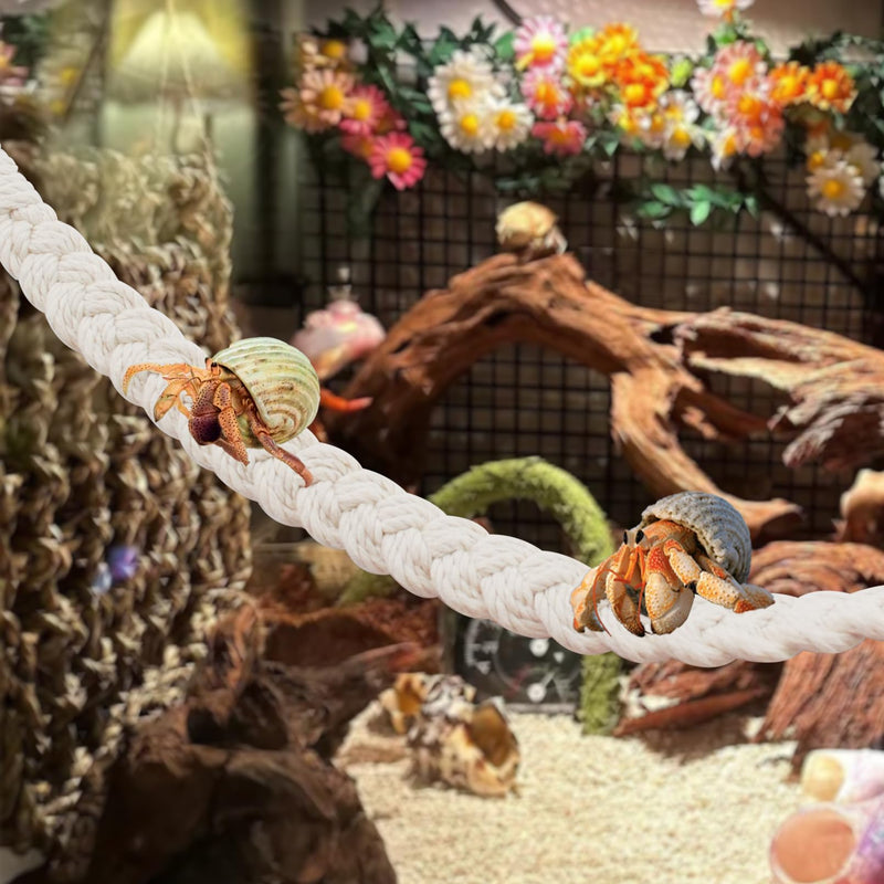 kathson 2 PCS 26 Inches Hermit Crab Climbing Toys,Reptile Vines Toy Hermit Crab Rope Ladder Bendable Hermit Crab Supplies Tank Terrarium Accessories for Hermit Crabs Lizards Leopard Geckos 【color：white】 - PawsPlanet Australia