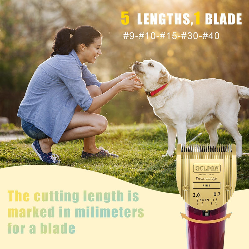 Adjustable Dog Grooming Clipper 5-in-1 Blade Compatible with WAHL Professional Animal Clipper Arco, Bravura, Chromado, Creativa, Figura, and Motion Pet, Dog, and Horse (gold/2pc) Gold/2pc - PawsPlanet Australia