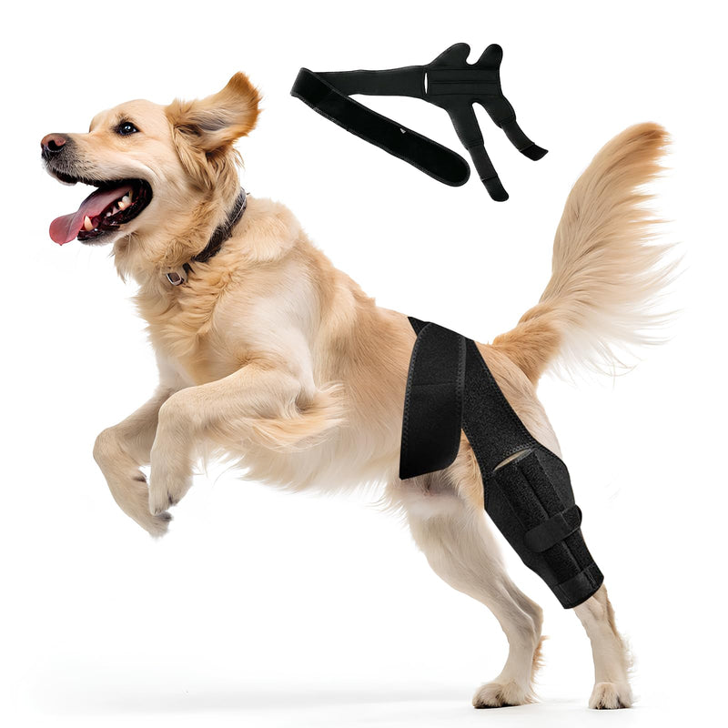 Adjustable Dog Knee Brace for Acl Support, Built-in Hard Support to Recovery and Injury Prevention - Perfect for Torn Ligaments, Knee, Hock, and Ankle Injuries - (M Size) M
