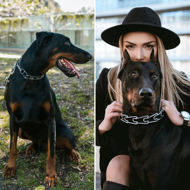 Training Collar Covers Designed for Herm. Sprenger Collar (50 Pack) Collar Rubber Tips Vinyl Comfort Collar Tips (2.25mm-3.0mm) 2.25mm-3.0mm - PawsPlanet Australia