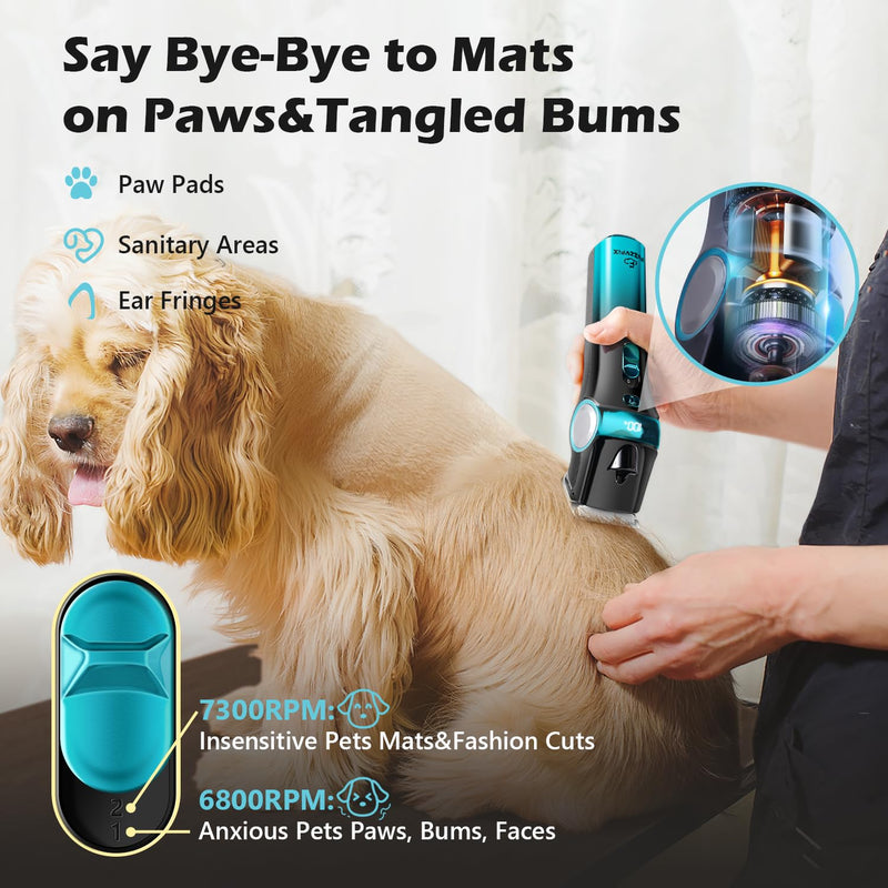 Dog Clippers for Grooming with 5-in-1 Blade, Dog Grooming Kit Cordless Rechargeable Hair Trimmer Detachable Stainless Steel Blade Pet Shaver for Small Puppy Paw Face Head Body Blue - PawsPlanet Australia
