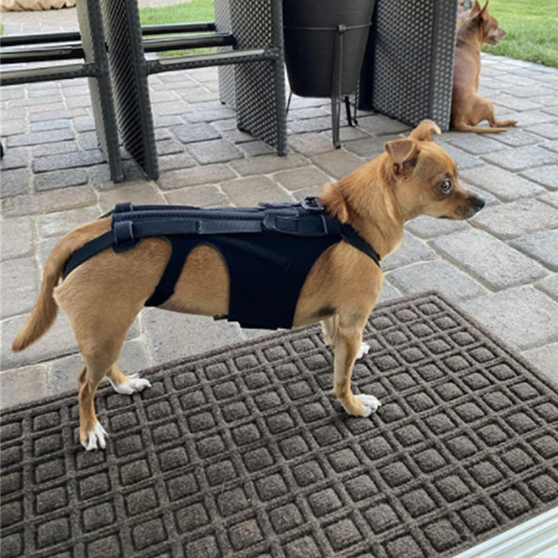 Back Bracer for IVDD in Dogs, Arthritis, Spinal Surgical Recovery, Herniated Disc, Slipped Disc, Rehabilitation, Adjustable Back Support, Dog Back Brace, Back Protector Medium - PawsPlanet Australia