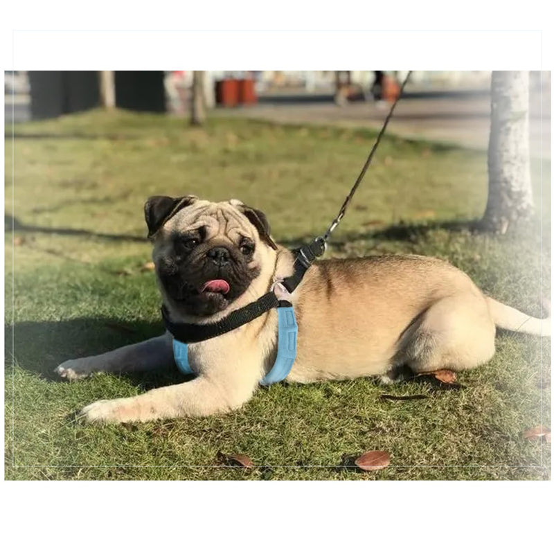 Dog Harness Pad - Soft Padding for Comfort and Versatility in Fit - PawsPlanet Australia