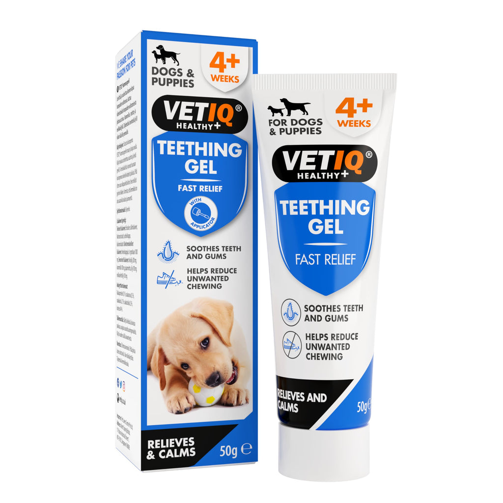 Puppy VetIQ Teething Gel, 50g, Soothes Sore Gums, Reduce Unwanted Chewing During Teething, Contains Chamomile, Peppermint & Clove Oils Eliminates Dog Breath, Puppies 4 Weeks+ 50 g (Pack of 1) - PawsPlanet Australia
