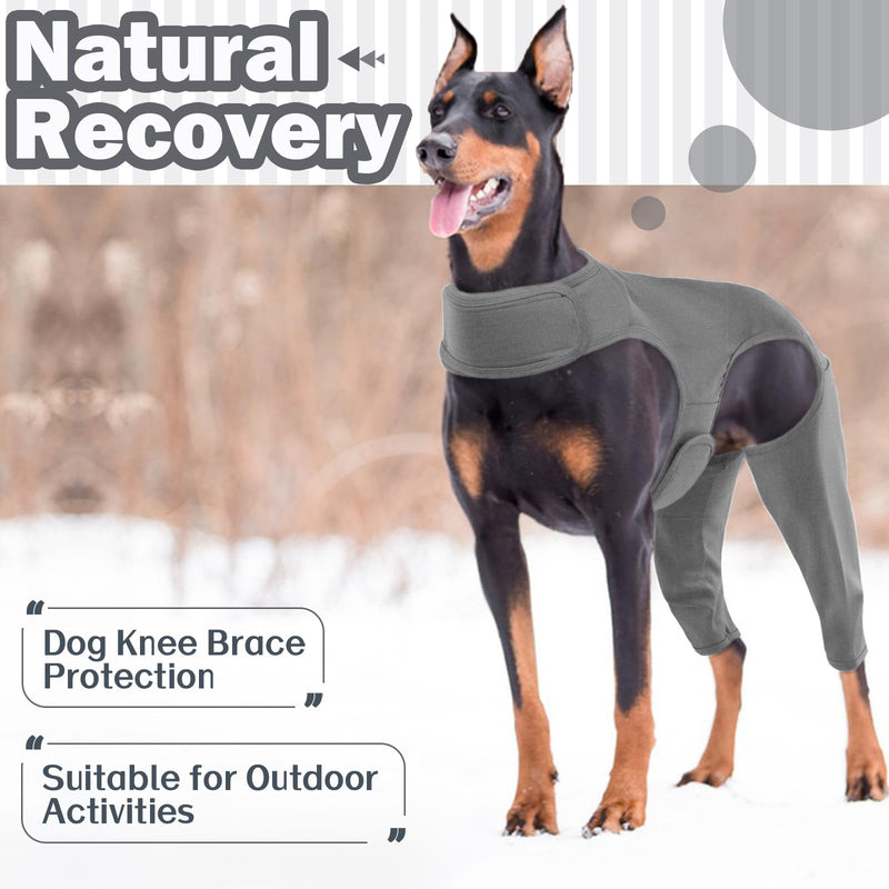 Recovery Suit For Dogs - Leg Surgery Recovery Suit, Lick Sleeve To Prevent Licking Bite, Avoids Wound Infection - 2XL XXL Grey